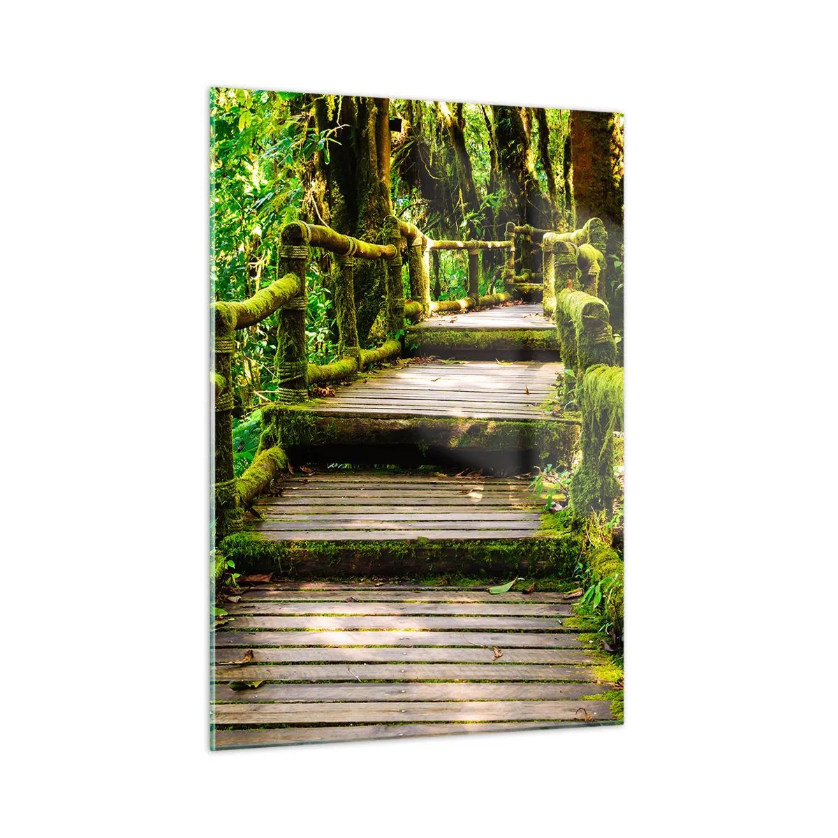 Quadro su vetro - Un sentiero di legno in una foresta verde ricoperta di muschio - 50x70cm - Un corridoio nel verde - Decorazione murale moderna per soggiorno e camera da letto ARTTOR