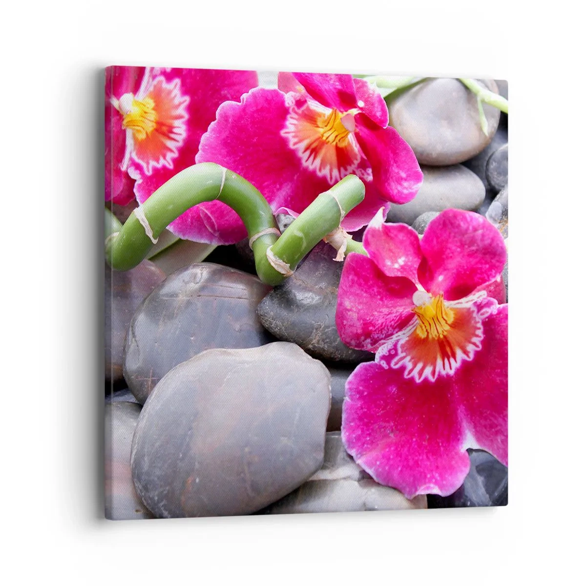 Quadro su tela - Stampe su Tela - Fresco e calore - 40x40 cm