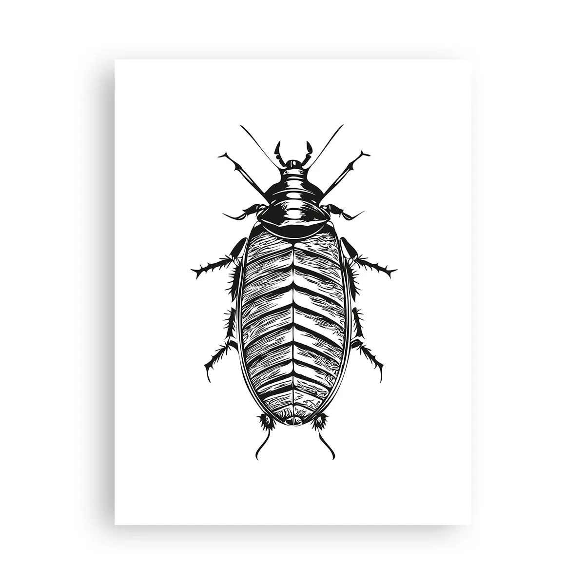 Poster - Che esemplare! - 30x40 cm