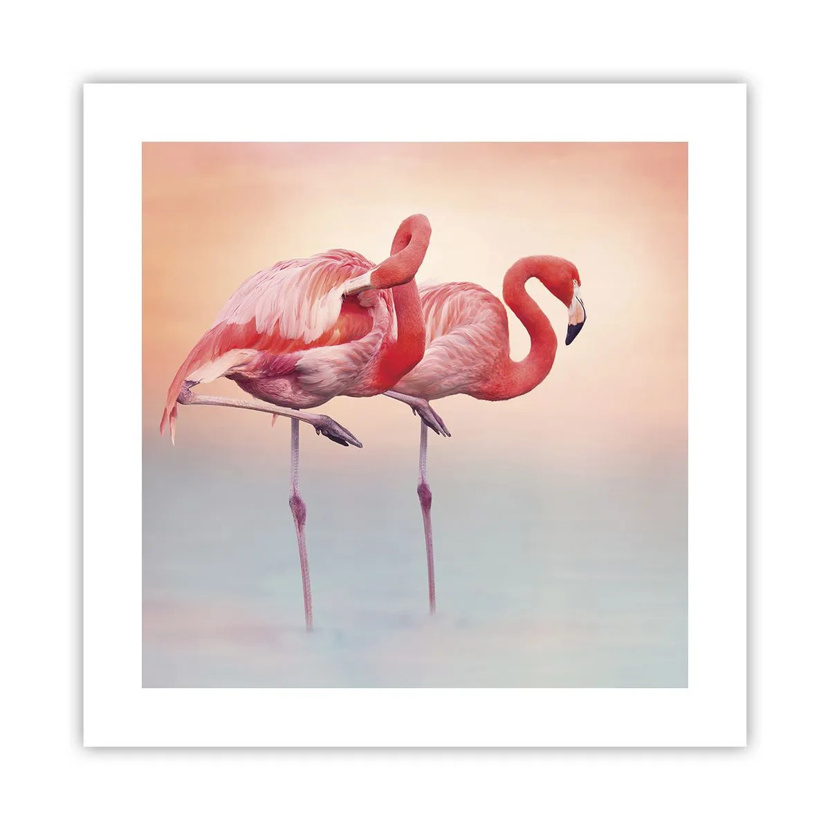 Poster - Nel colore del sole al tramonto - 40x40 cm