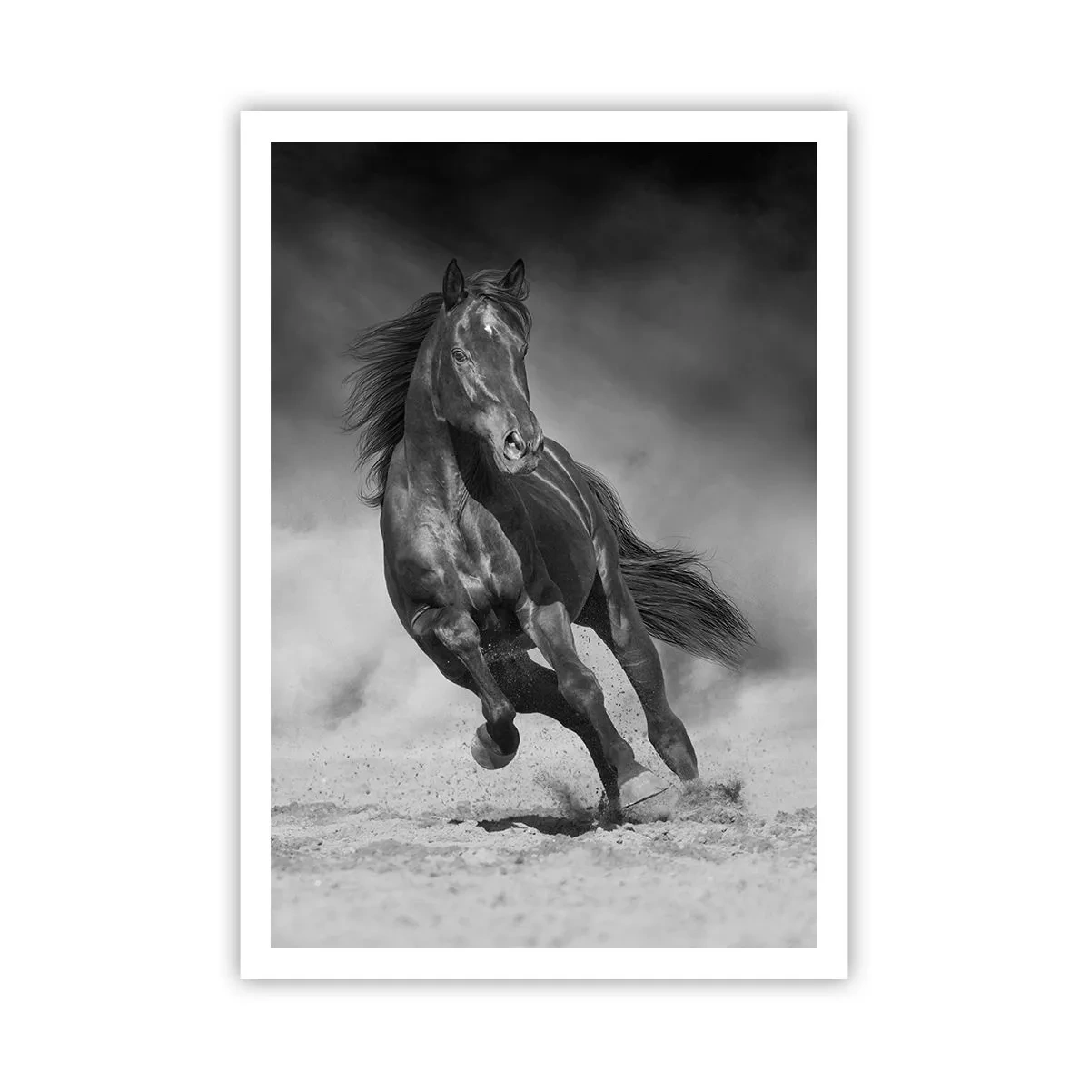 Poster - Degno dell'emiro - 70x100 cm