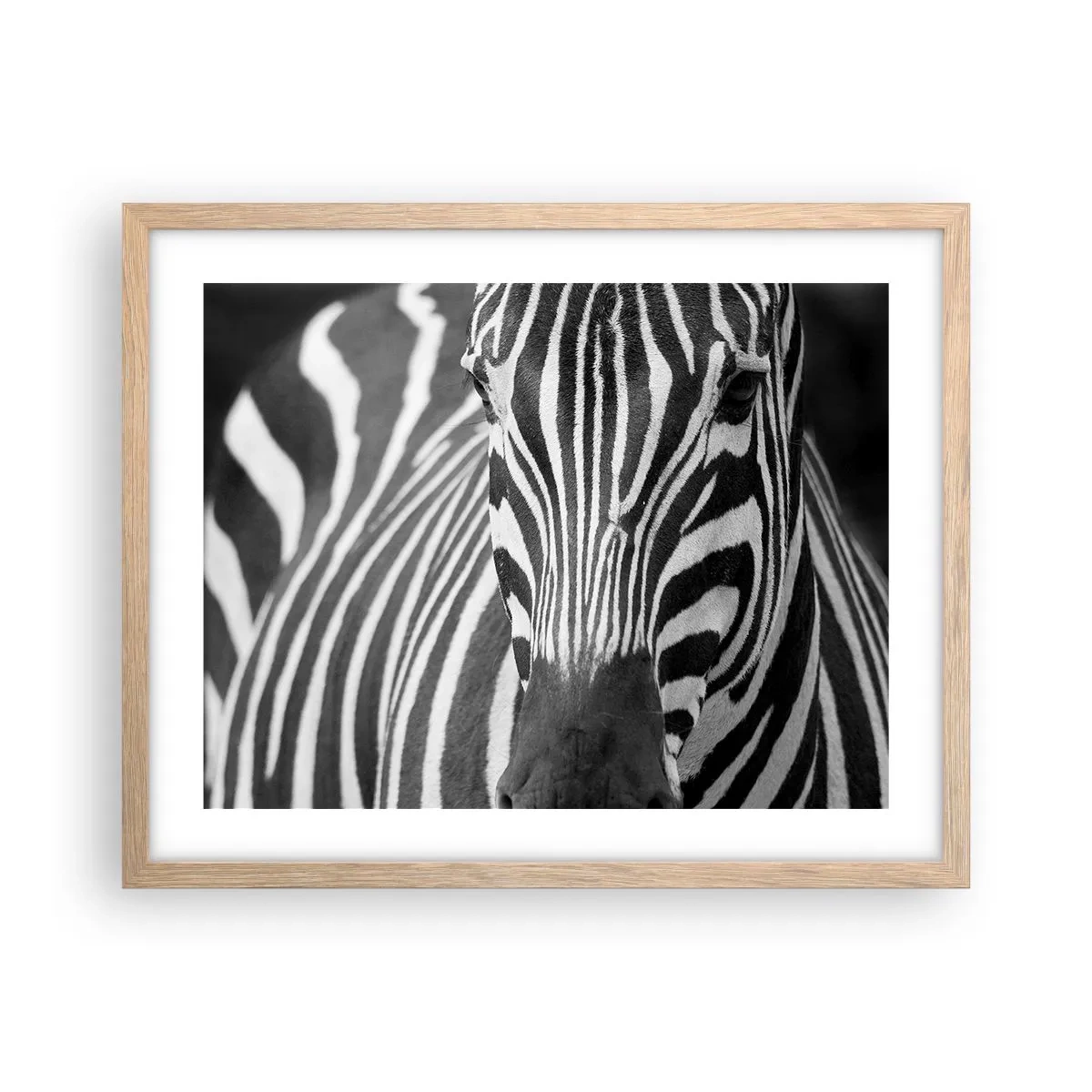 Poster in cornice rovere chiaro - Il mondo è in bianco e nero - 50x40 cm
