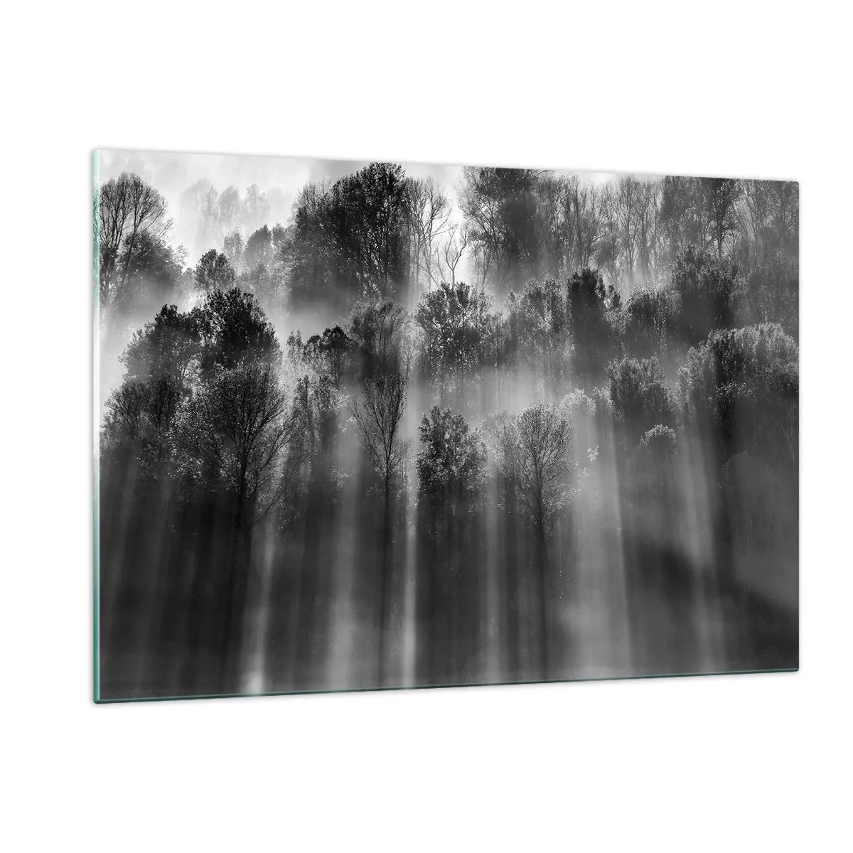 Quadro su vetro - Raggi di luce bianchi e neri che penetrano nella foresta - 120x80cm - Nei getti di luce - Decorazione murale moderna per soggiorno e camera da letto ARTTOR