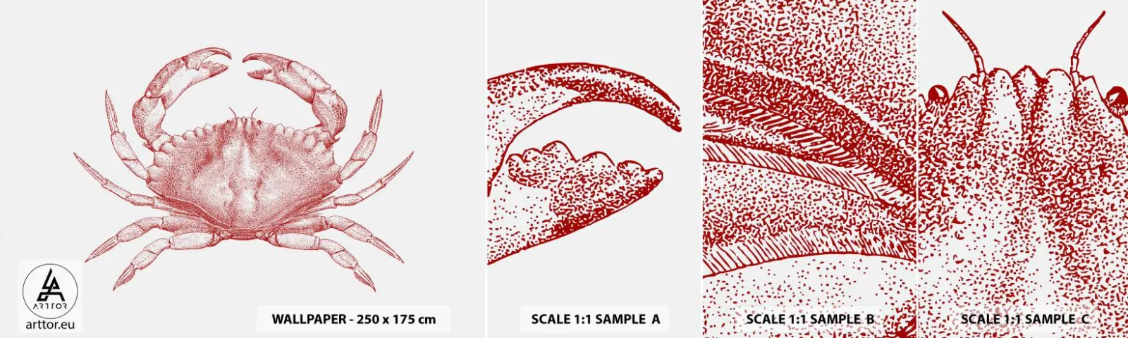 Campione di Fotomurale Adesivo Deluxe Sticker - Il granchio dei granchi - Granchio, Frutti di mare, Crostacei - 100x30 cm