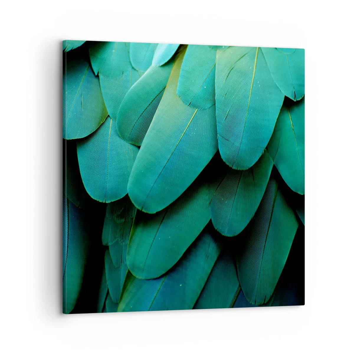 Quadro su tela - Stampe su Tela - Precisione da pappagallo - 50x50 cm