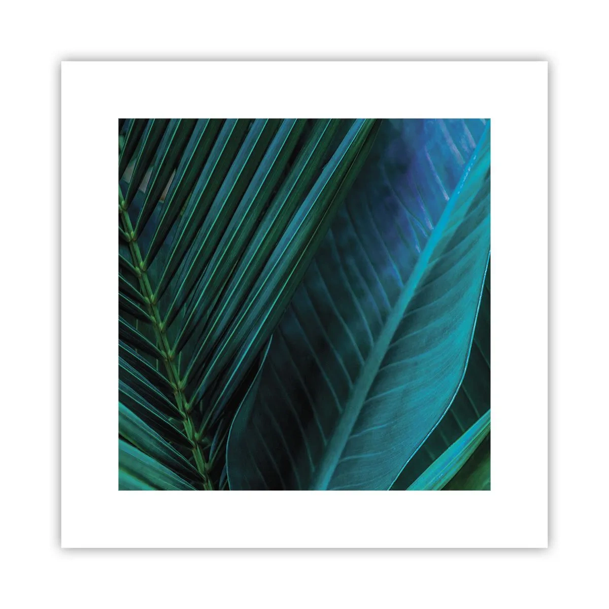 Poster - Anatomia del verde - 30x30 cm