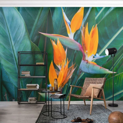 Fotomurali Premium Sand - È un fiore o un uccello? - Strelitzia Reale, Fiore, Africa - 400x280 cm