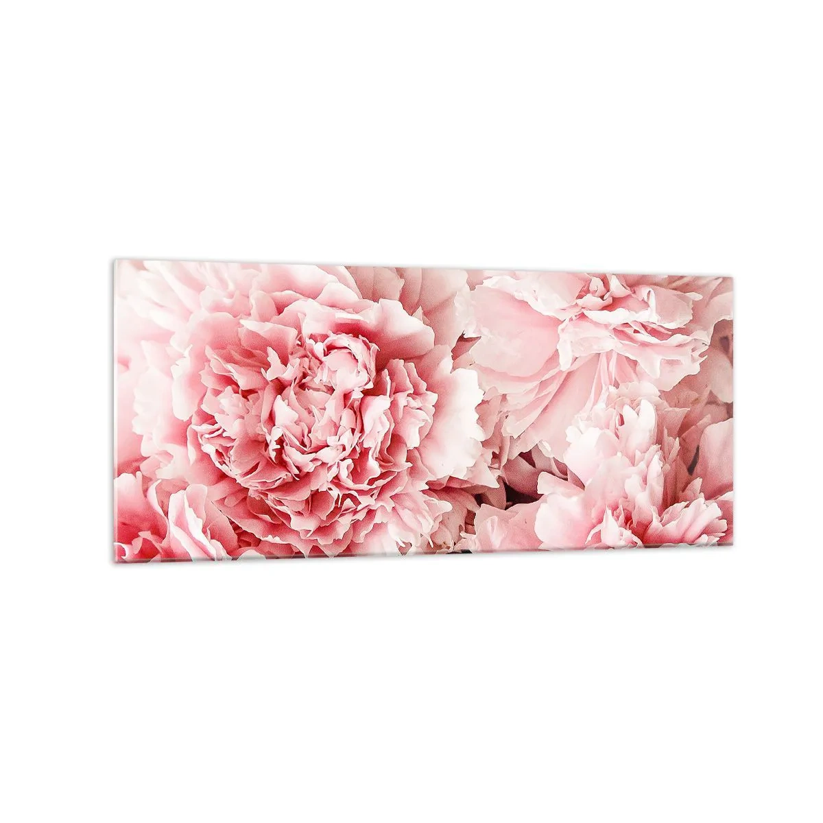 Quadro su vetro - Delicate peonie rosa in un ambiente delicato - 120x50cm - Sogno rosa - Decorazione murale moderna per soggiorno e camera da letto ARTTOR