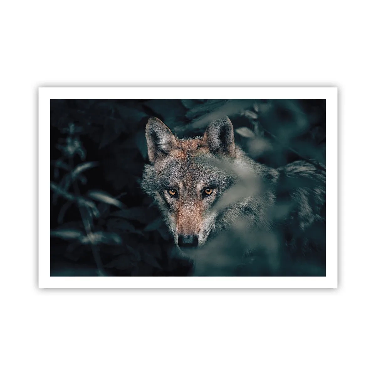 Poster - Cacciatore - 91x61 cm