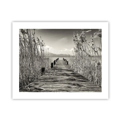 Poster - Nel silenzio dell'erba - 50x40 cm