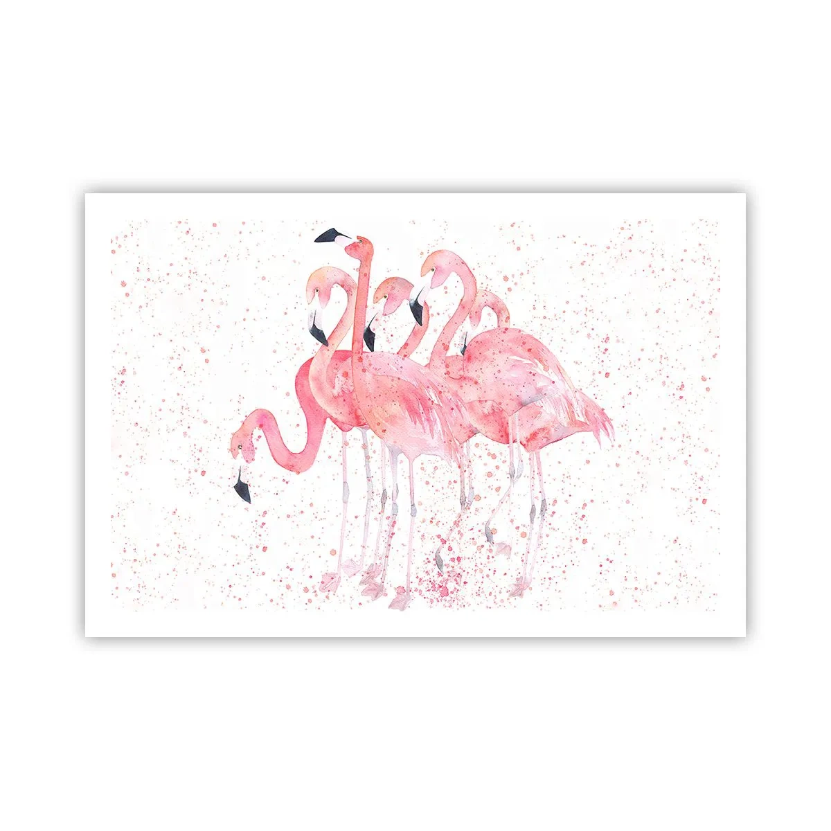 Poster - Gruppo in rosa - 91x61 cm