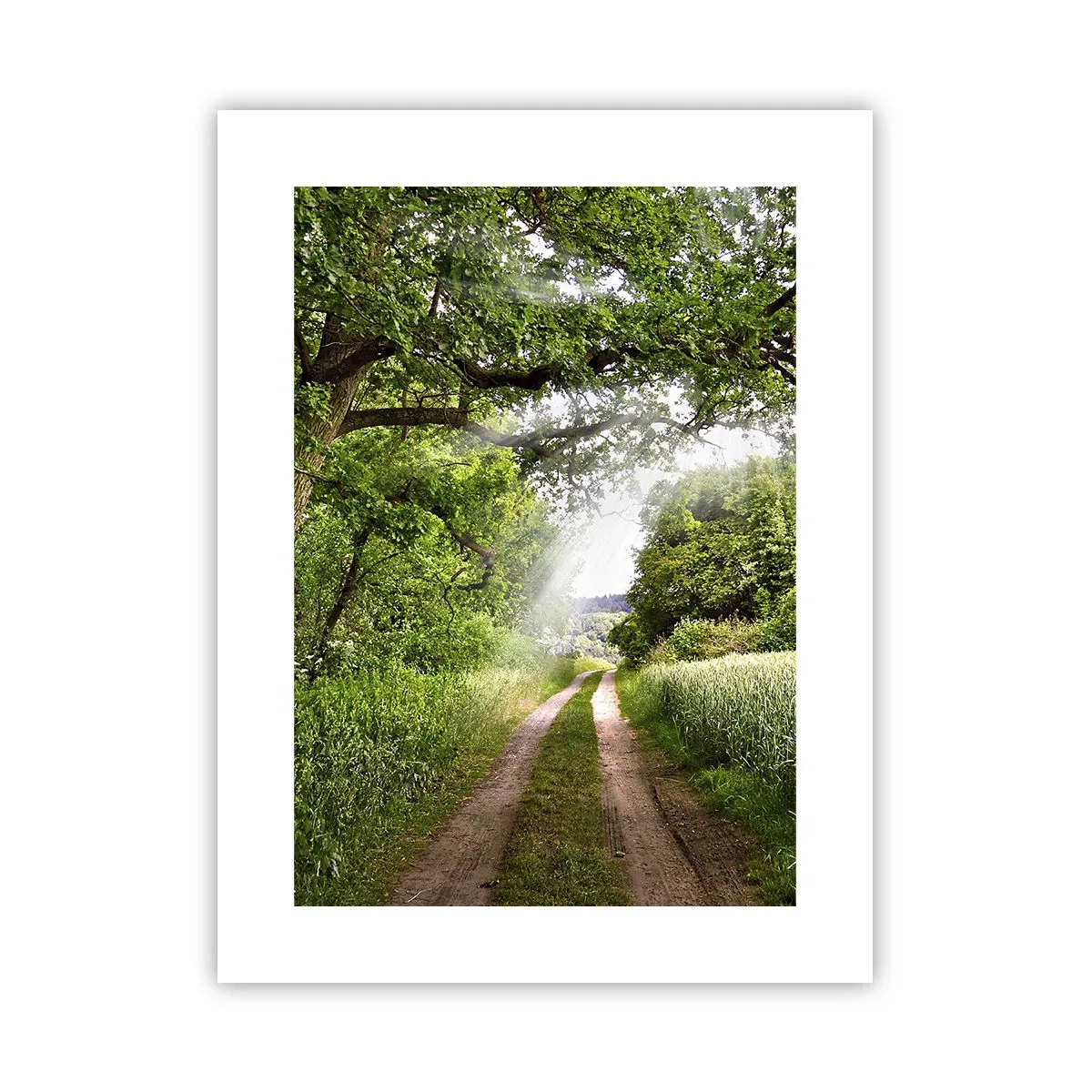 Poster - Et in Arcadia ego - 30x40 cm