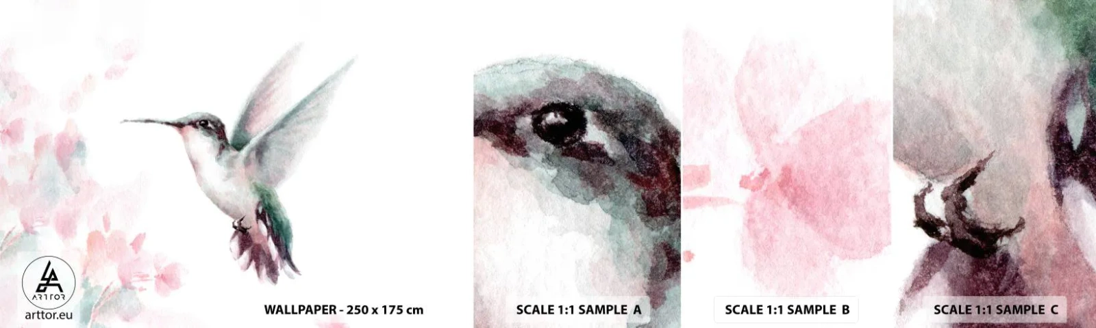 Campione di Fotomurale Adesivo Deluxe Sticker - Battito immobile - Colibrì, Uccello, Pezzo - 100x30 cm