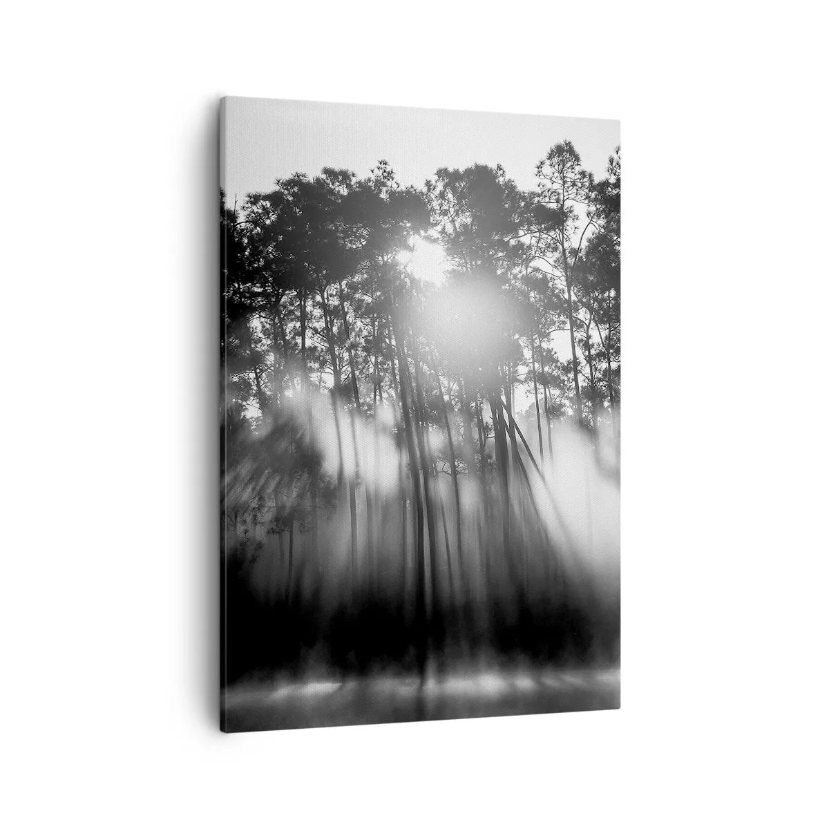 Quadro su tela - Stampe su Tela - Foresta bianca e nera nella nebbia mattutina - 50x70cm - Sole irrefrenabile - Decorazione murale moderna per soggiorno e camera da letto ARTTOR