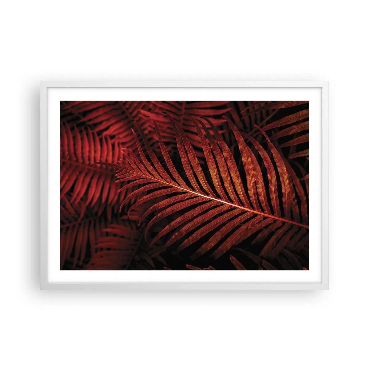 Poster in cornice bianca - Il calore della vita - 70x50 cm