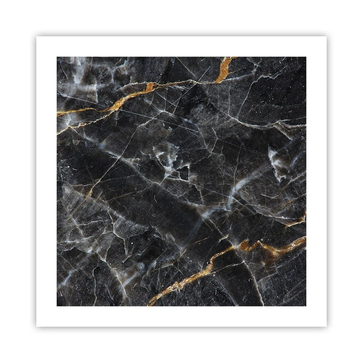 Poster - La vita interiore delle pietre - 50x50 cm