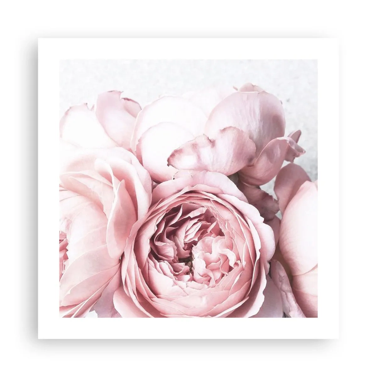 Poster - Per i romantici - 50x50 cm