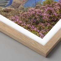 Rovere chiaro