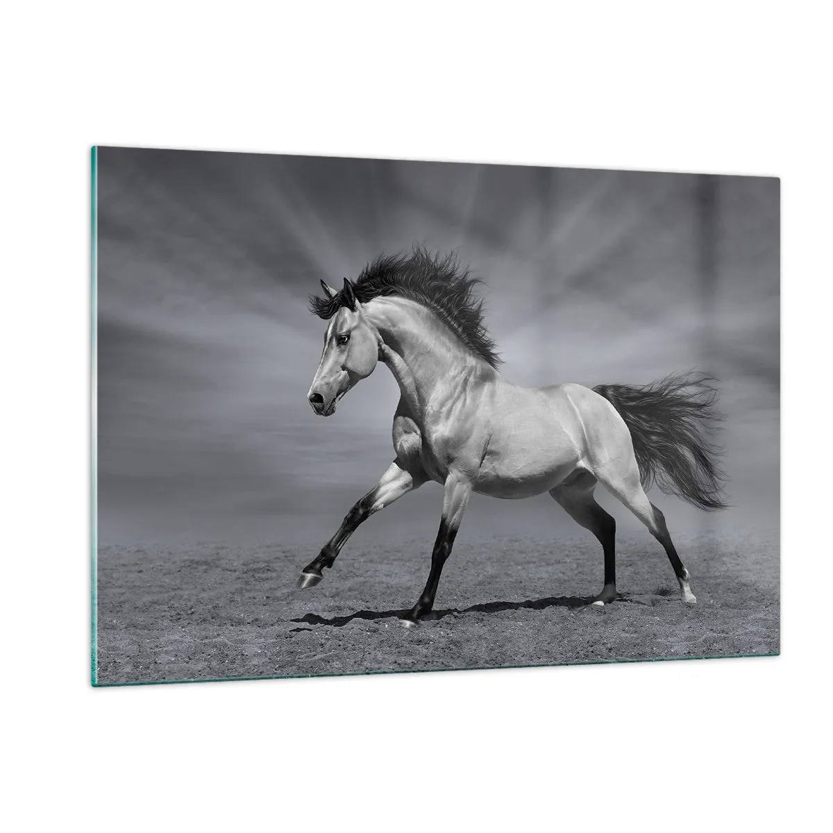 Quadro su vetro - Una foto in bianco e nero di un cavallo al galoppo in un campo aperto. - 120x80cm - Nato per affascinare - Decorazione murale moderna per soggiorno e camera da letto ARTTOR