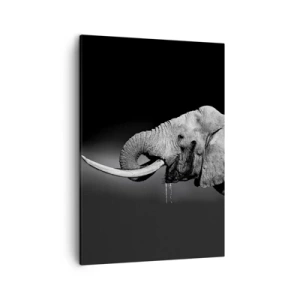 Quadro su tela - Stampe su Tela - Ritratto in bianco e nero di un elefante di profilo - 50x70cm - Si, adesso va bene - Decorazione murale moderna per soggiorno e camera da letto ARTTOR