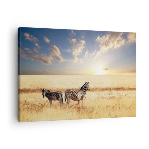 Quadro su tela - Stampe su Tela - Due zebre nella savana sotto i raggi del sole al tramonto - 70x50cm - Allontanati, non disturbare - Decorazione murale moderna per soggiorno e camera da letto ARTTOR