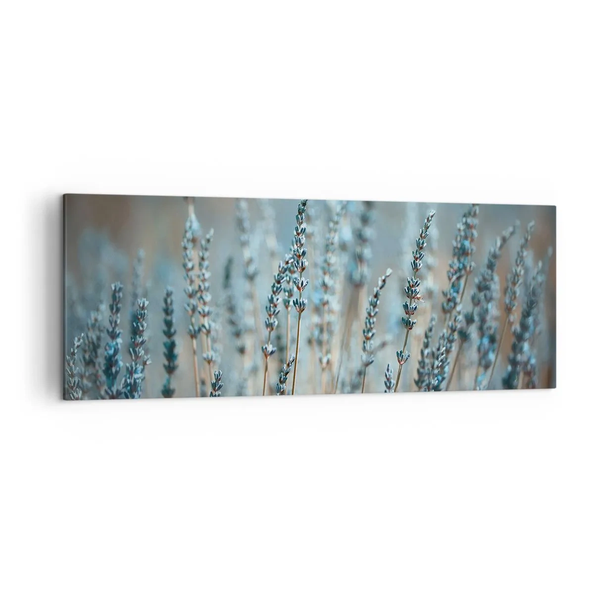 Quadro su tela - Stampe su Tela - Lavanda nel campo in delicati toni pastello - 140x50cm - Campo profumato - Decorazione murale moderna per soggiorno e camera da letto ARTTOR