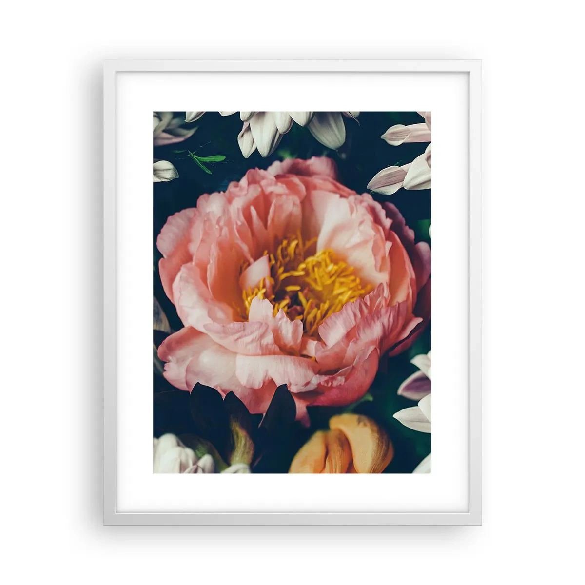 Poster in cornice bianca - Con fasto barocco - 40x50 cm