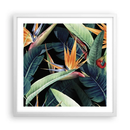 Poster in cornice bianca - I fiori fiammeggianti dei tropici - 50x50 cm