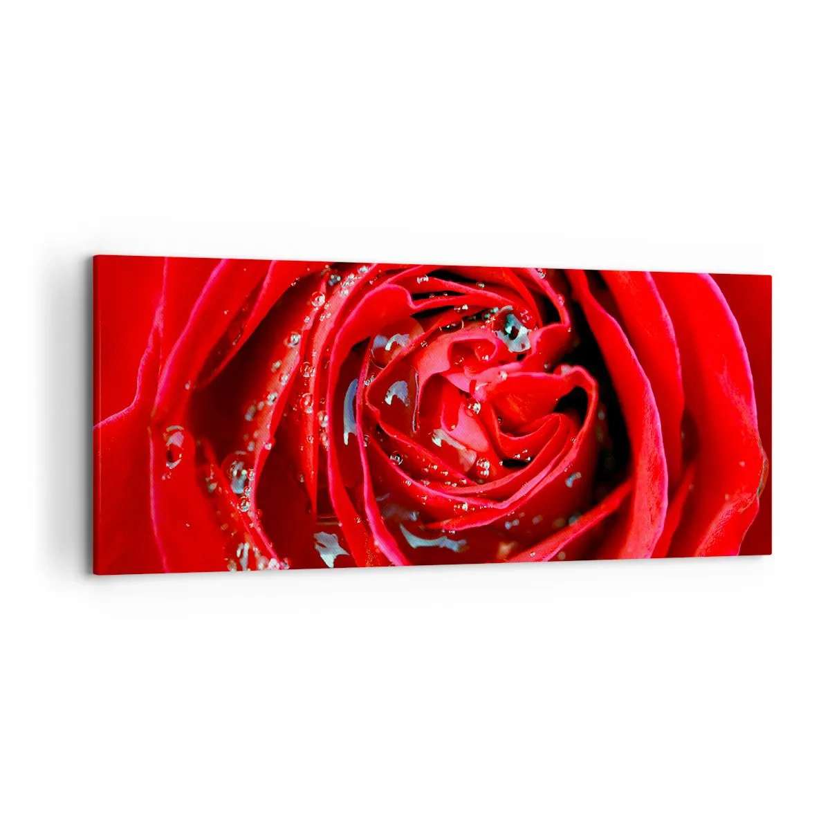 Quadro su tela - Stampe su Tela - Primo piano di una rosa rossa con gocce d'acqua sui petali - 120x50cm - Nelle gocce della rugiada - Decorazione murale moderna per soggiorno e camera da letto ARTTOR