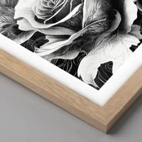 Rovere chiaro
