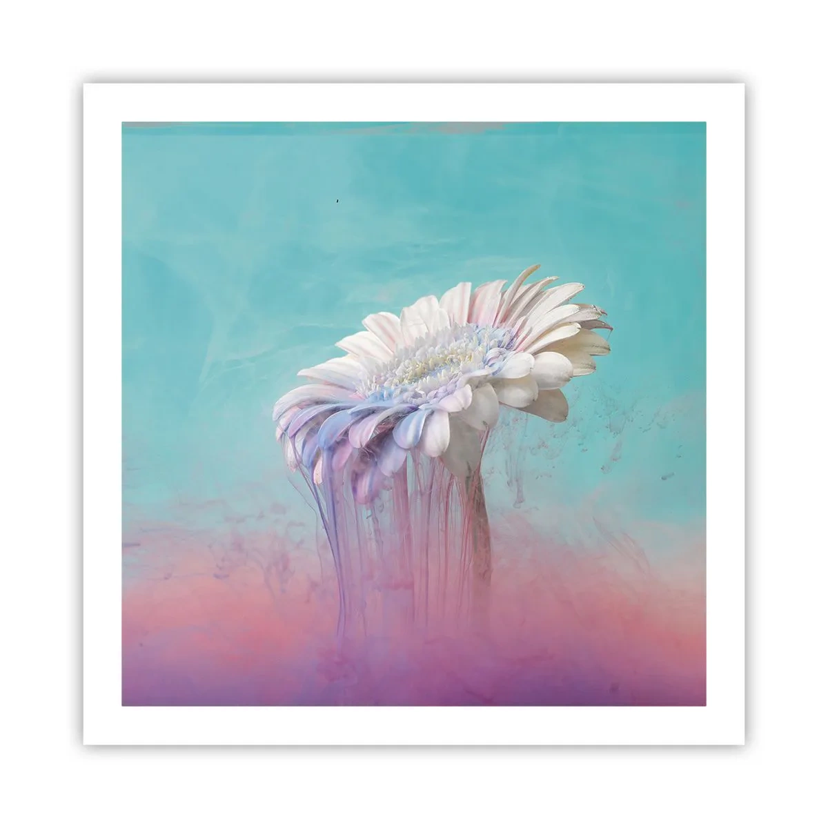 Poster - L'aldilà dei fiori - 60x60 cm