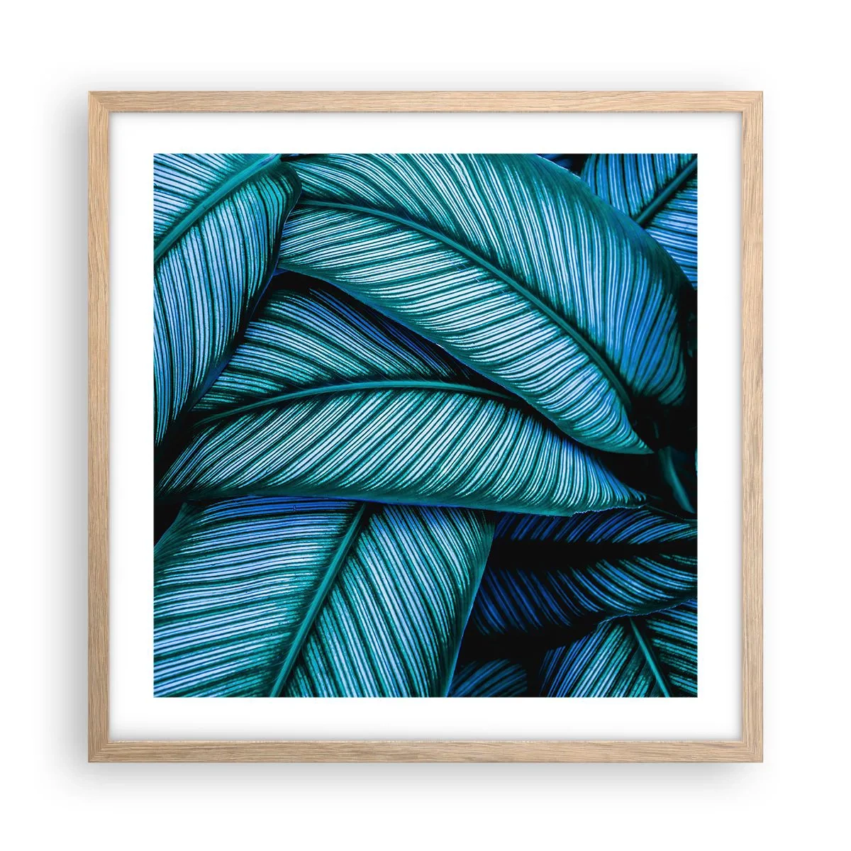 Poster in cornice rovere chiaro - Le linee della vita - 50x50 cm