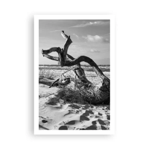 Poster - Scolpito dal mare - 61x91 cm