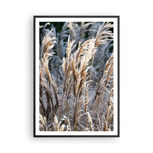 Poster in cornice nera - Vestite di brina - 70x100 cm