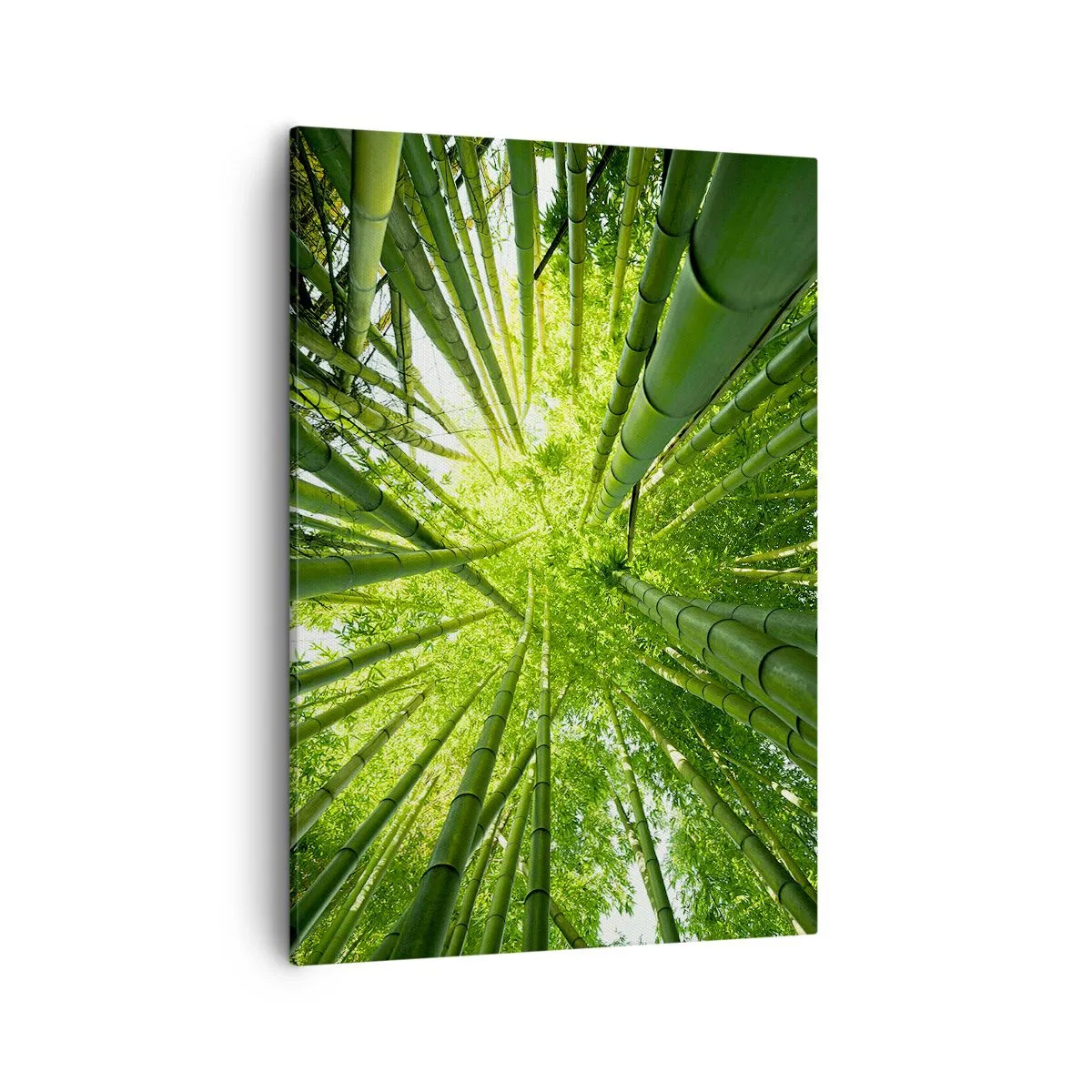 Quadro su tela - Stampe su Tela - Vista attraverso un boschetto di bambù verde - 50x70cm - Nella foresta di bambù - Decorazione murale moderna per soggiorno e camera da letto ARTTOR