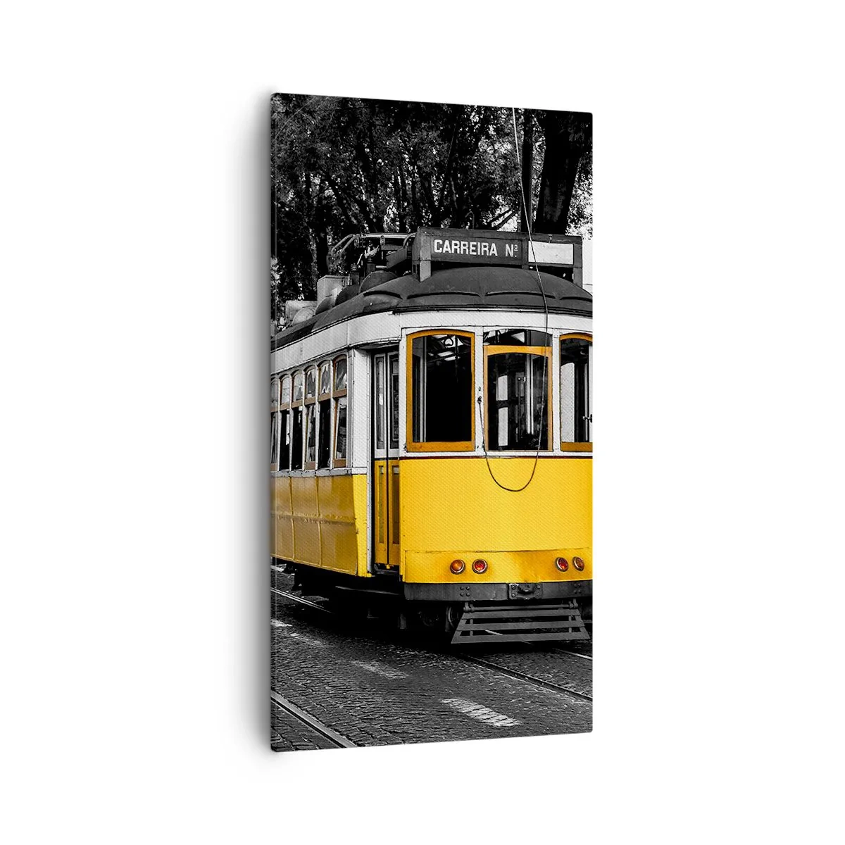 Quadro su tela - Stampe su Tela - Con il fado in sottofondo - 55x100 cm