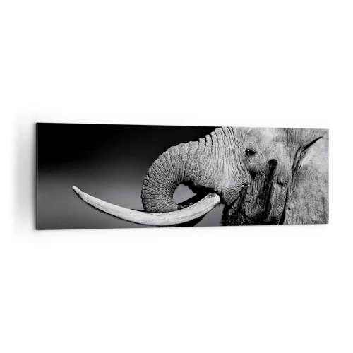 Quadro su tela - Stampe su Tela - Ritratto in bianco e nero di un elefante di profilo - 160x50cm - Si, adesso va bene - Decorazione murale moderna per soggiorno e camera da letto ARTTOR