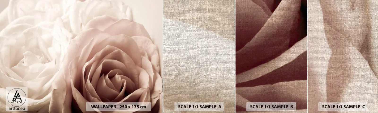 Campione di Fotomurale Premium Canvas - Nel cuore della rosa - Rose, Fiori, Romantico - 100x30 cm