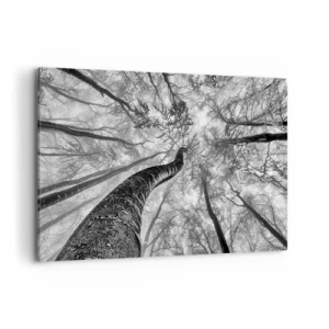 Quadro su tela - Stampe su Tela - Prospettiva degli alberi in una foresta visti dal basso in tonalità di grigio - 120x80cm - La corsa verso la luce - Decorazione murale moderna per soggiorno e camera da letto ARTTOR