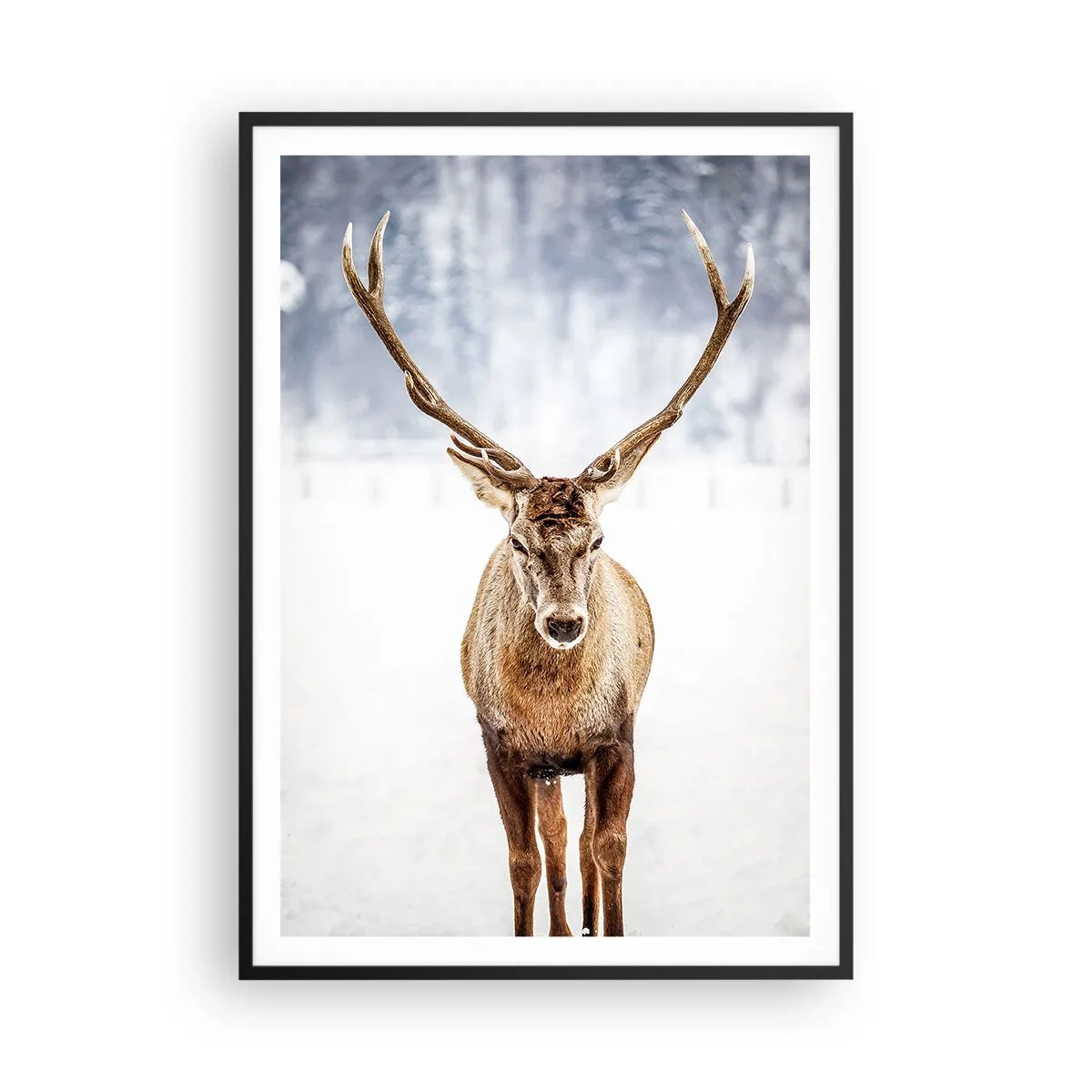 Poster in cornice nera - Direttamente dalla nebbia di neve - 70x100 cm