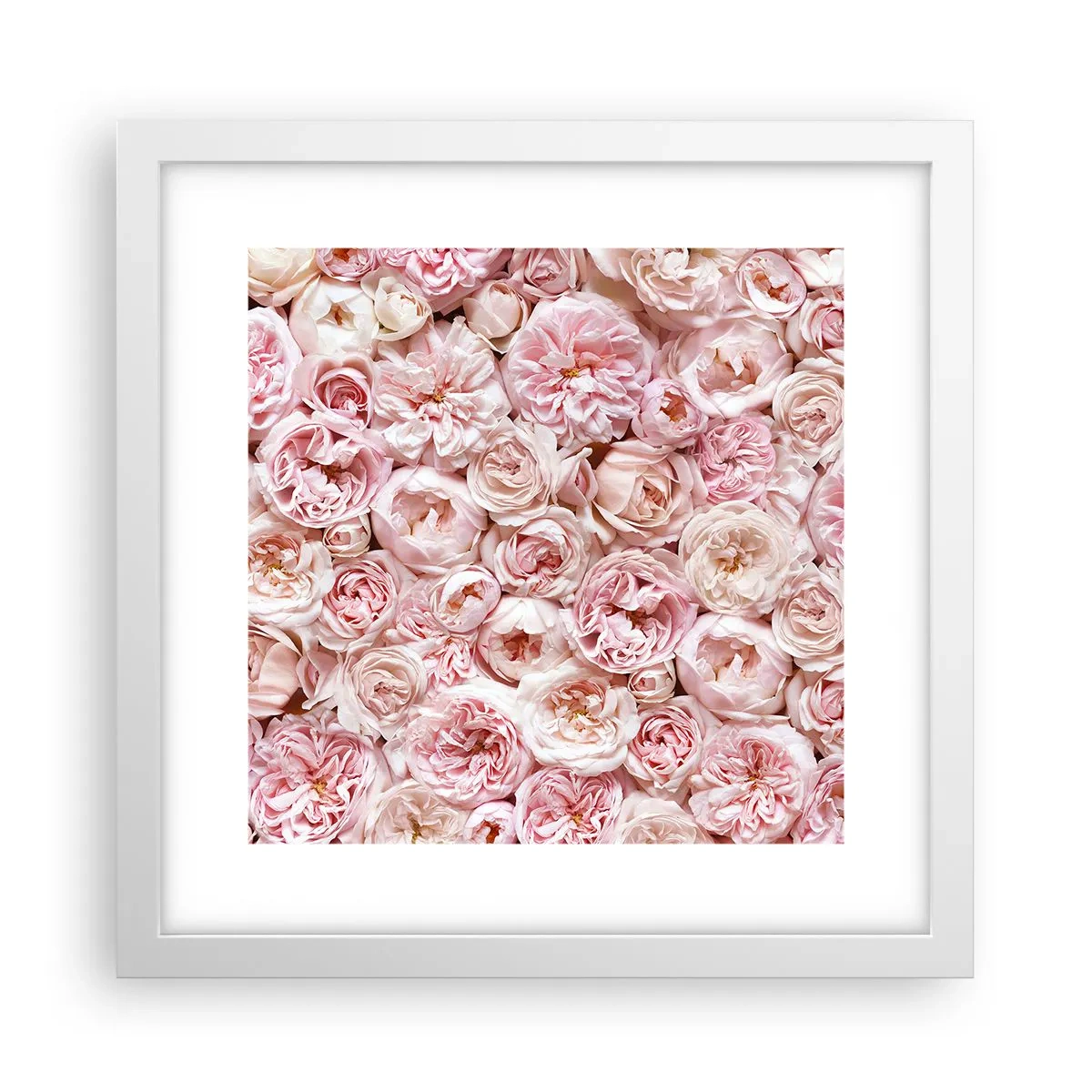 Poster in cornice bianca - Coperto di rose - 30x30 cm