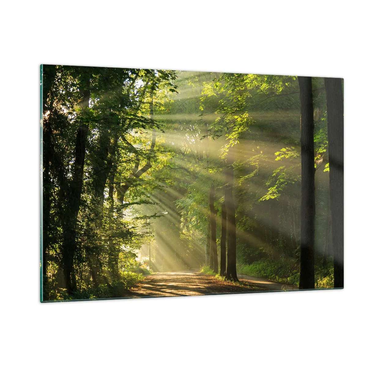 Quadro su vetro - Un sentiero nel bosco illuminato dai raggi del sole - 120x80cm - Un attimo nel bosco - Decorazione murale moderna per soggiorno e camera da letto ARTTOR