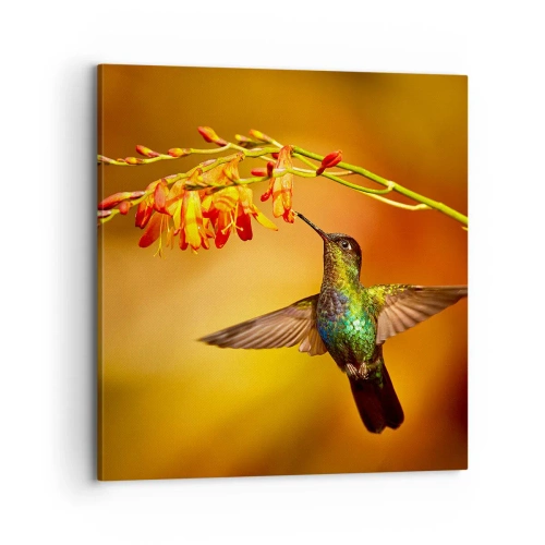 Quadro su tela - Stampe su Tela - Messaggero di luce secondo i Maya - 70x70 cm