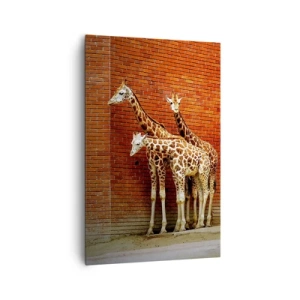 Quadro su tela - Stampe su Tela - Quattro giraffe contro un muro di mattoni in un ambiente artistico - 80x120cm - Vedete qualche acacia? - Decorazione murale moderna per soggiorno e camera da letto ARTTOR