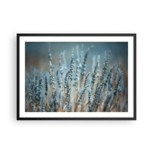 Poster in cornice nera - Lavanda nel campo in delicati toni pastello - 70x50cm - Campo profumato - Decorazione murale moderna per soggiorno e camera da letto ARTTOR