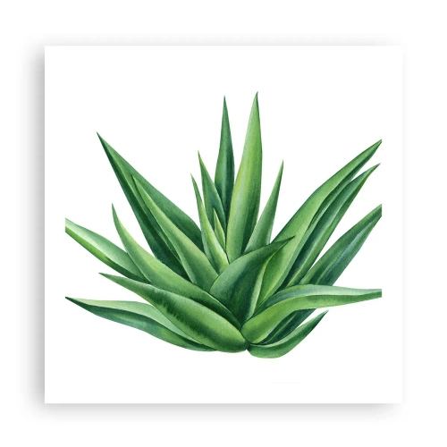 Poster - Verde - forza - vita - 60x60 cm