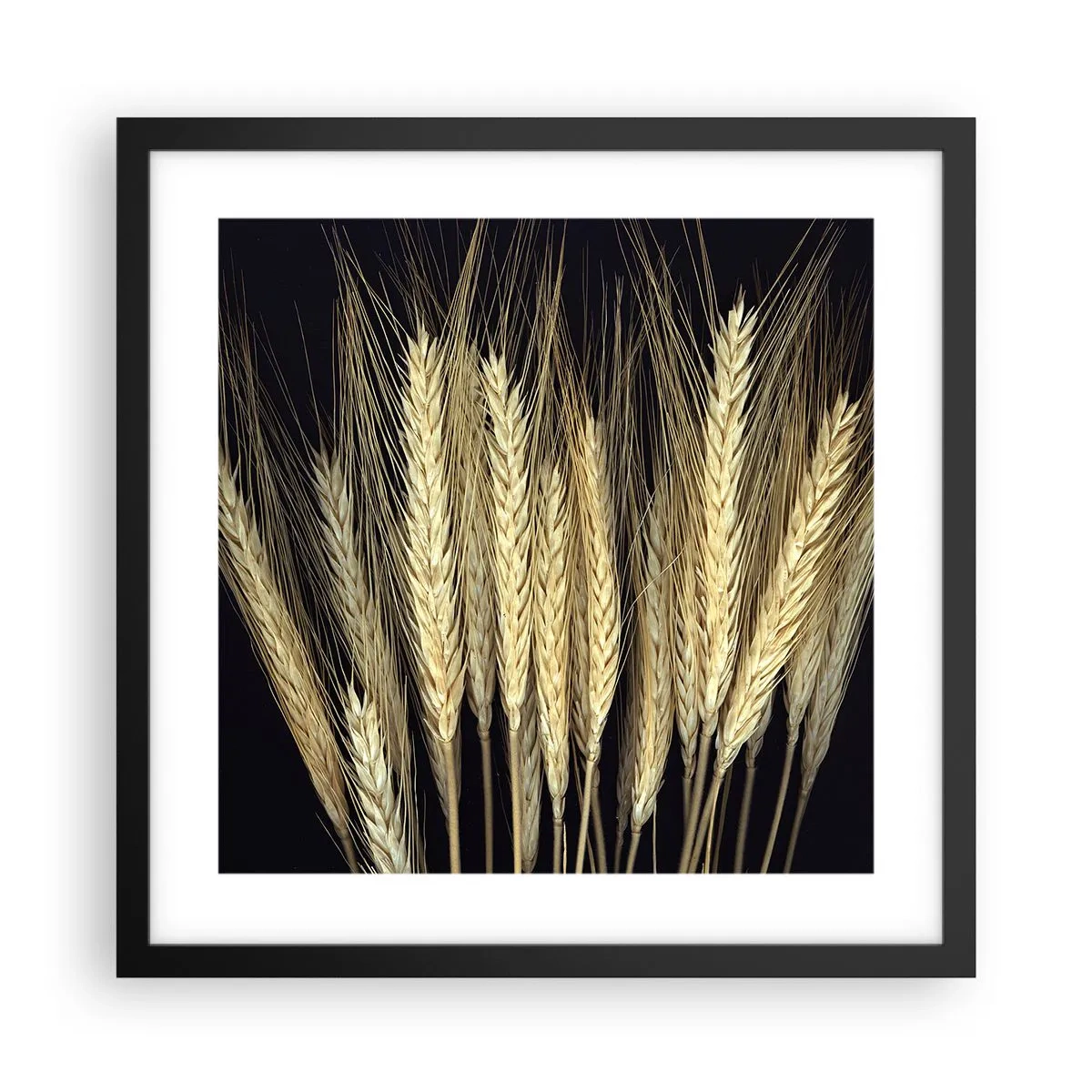 Poster in cornice nera - Magia rustica - 40x40 cm