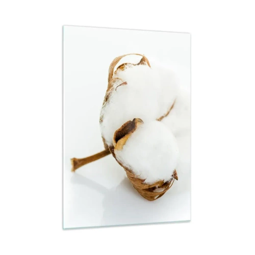 Quadro su vetro - Un singolo fiore di cotone soffice su uno sfondo bianco - 50x70cm - Naturalmente morbido - Decorazione murale moderna per soggiorno e camera da letto ARTTOR