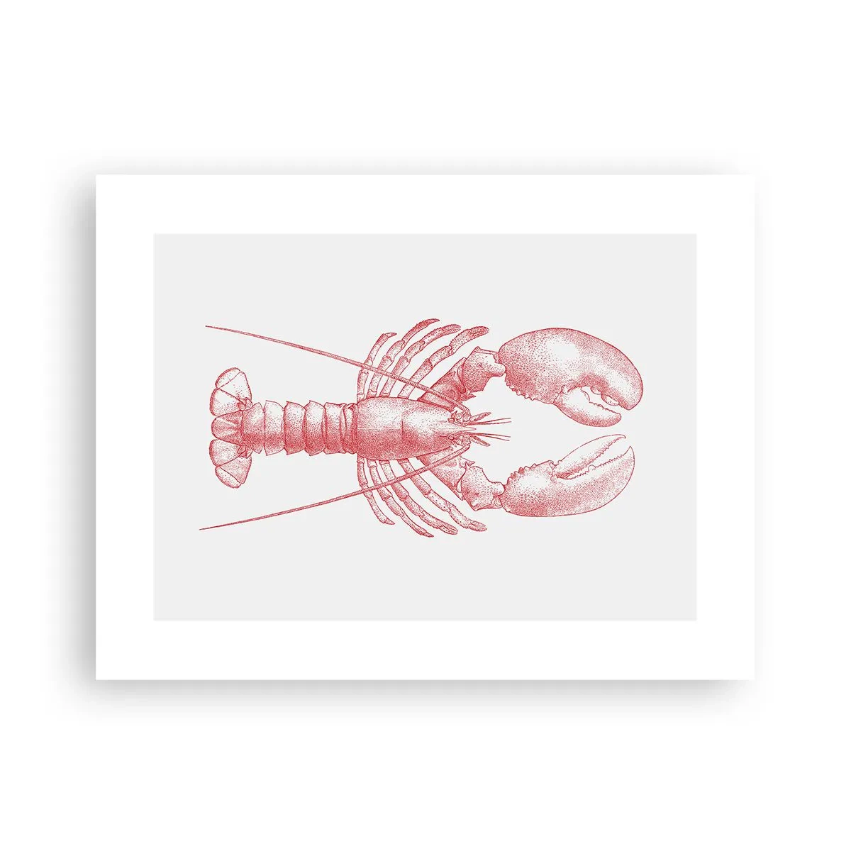 Poster - Aragosta d'agosto - 40x30 cm