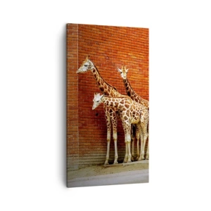 Quadro su tela - Stampe su Tela - Vedete qualche acacia? - 45x80 cm